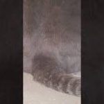 Thumbnail of related posts 064