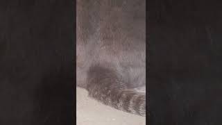 Thumbnail of post image 054