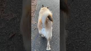 Thumbnail of post image 040