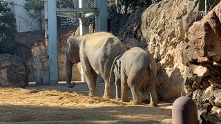 Thumbnail of post image 049