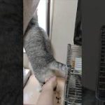 Thumbnail of related posts 004