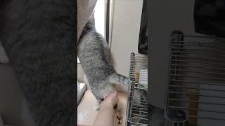 Thumbnail of post image 041