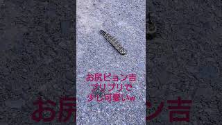 Thumbnail of post image 200