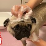 Thumbnail of related posts 180