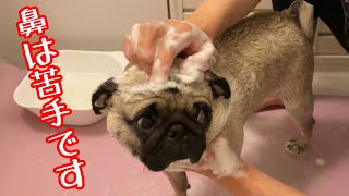 Thumbnail of post image 097