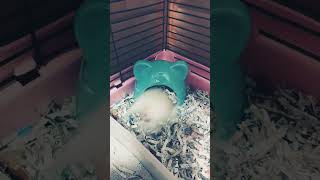 Thumbnail of post image 170