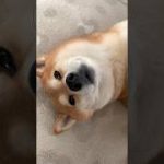 Thumbnail of related posts 023