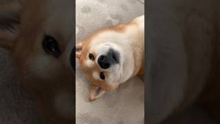 Thumbnail of post image 148