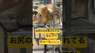 Thumbnail of post image 023