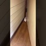 Thumbnail of related posts 034