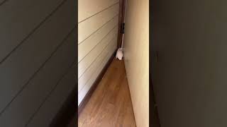 Thumbnail of post image 147