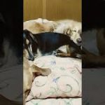 Thumbnail of related posts 089