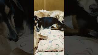 Thumbnail of post image 113