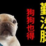 Thumbnail of related posts 078