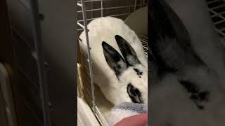 Thumbnail of post image 184