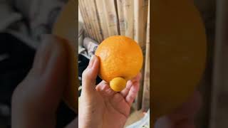 Thumbnail of post image 011