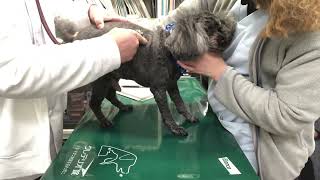 Thumbnail of post image 072