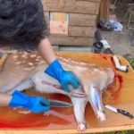 Thumbnail of related posts 067