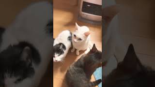 Thumbnail of post image 000