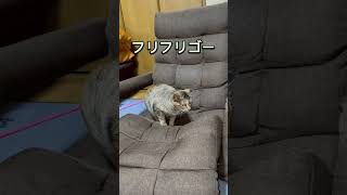 Thumbnail of post image 052