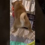 Thumbnail of related posts 115