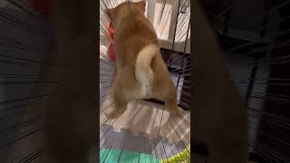 Thumbnail of post image 029