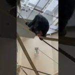 Thumbnail of related posts 116