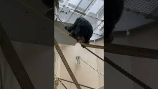 Thumbnail of post image 132