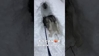 Thumbnail of post image 027