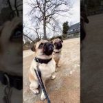 Thumbnail of related posts 120