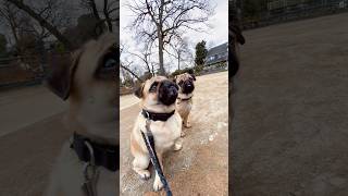 Thumbnail of post image 096