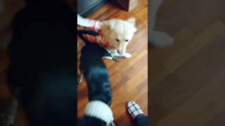 Thumbnail of post image 171