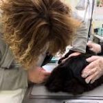 Thumbnail of related posts 081