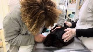 Thumbnail of post image 152