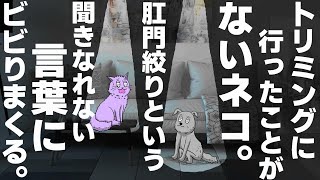 Thumbnail of post image 146