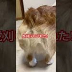 Thumbnail of related posts 107