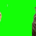 Thumbnail of related posts 033