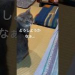 Thumbnail of related posts 169