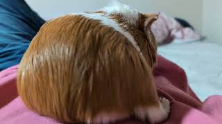 Thumbnail of post image 142