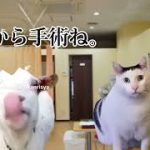 Thumbnail of related posts 113