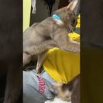 Thumbnail of related posts 022
