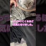 Thumbnail of related posts 106