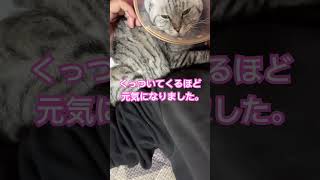 Thumbnail of post image 137