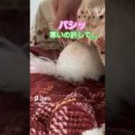 Thumbnail of related posts 108