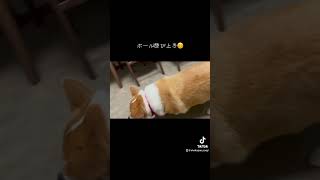 Thumbnail of post image 067