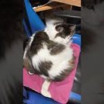Thumbnail of related posts 195