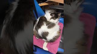 Thumbnail of post image 097