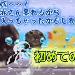 Thumbnail of related posts 084