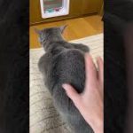 Thumbnail of related posts 024