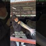 Thumbnail of related posts 095